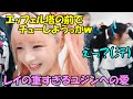 パリでもいつでも準備はできてるレイの重すぎるユジンへの愛が面白すぎる