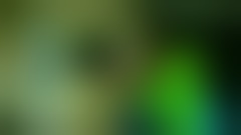 Everyone Fights Bad Users Add Round 29