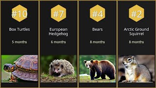 【Top 10】Longest hibernating species by duration【Searched in 2025】
