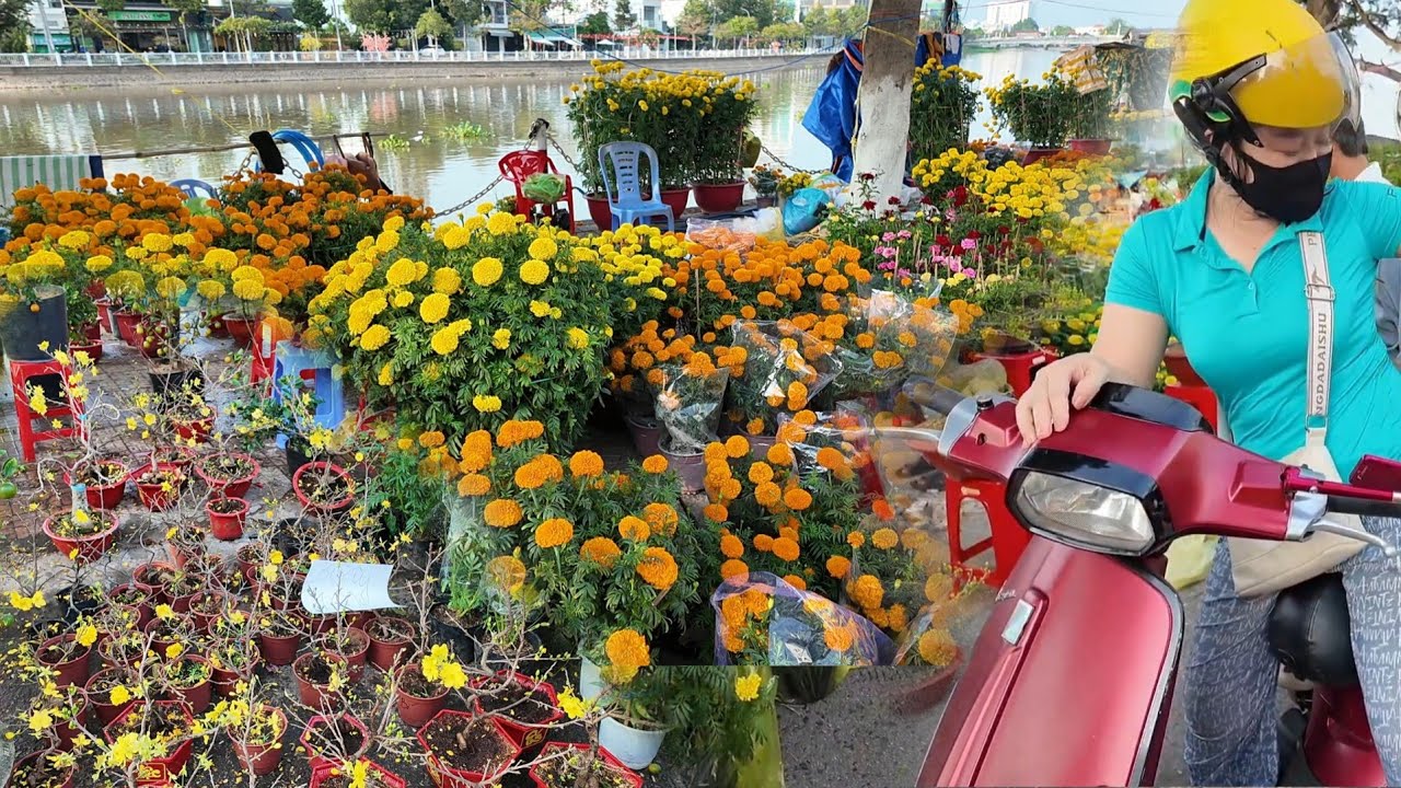 Chợ hoa 28 Tết 3 chậu mai mini 100k quá rẻ  | Long Xuyên TV 