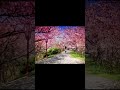 늦장 부리던 겨울 바람이  봄 바람과 함께 춤을 춘다~