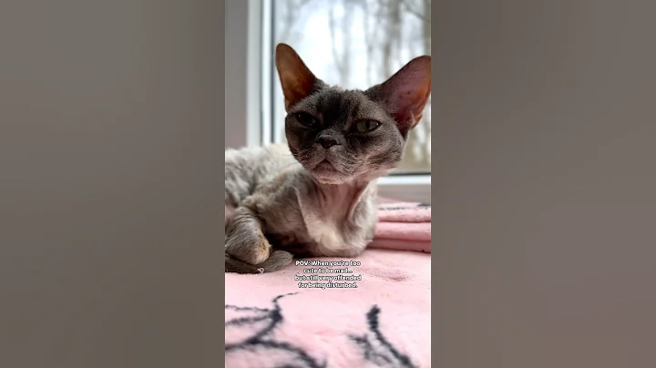 Watch the video about Holly Molly