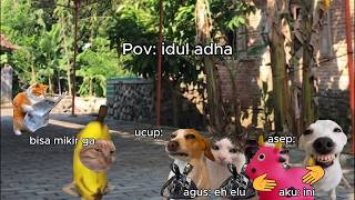 Pov: idul adha 2026 | Special Idul Fitri | Meme Kucing | #pov #meme #kucing #cat