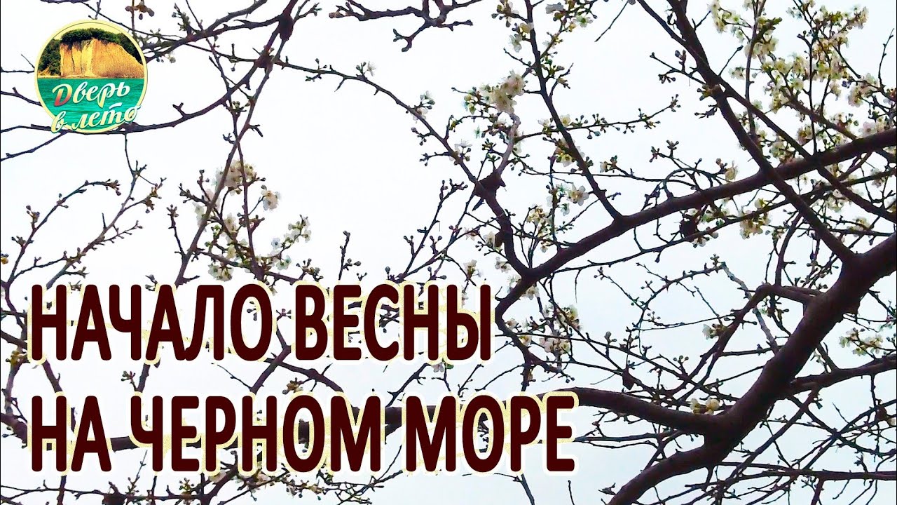 Начало весны на юге