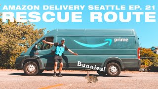 Rescue Route, Rabbits, and Flying my Drone! /// AMAZON DELIVERY SEATTLE EP. 21