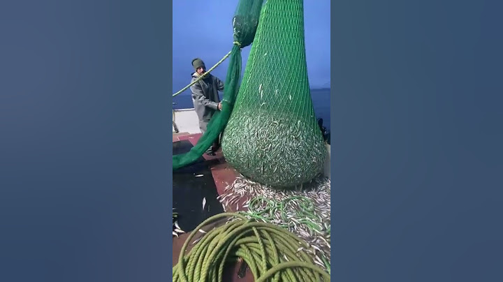 Karaburun da dip trol avcılığı!!!! 5 ton balik yakaladilar