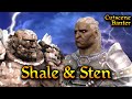 Shale and sten complete banter  dragon age origins