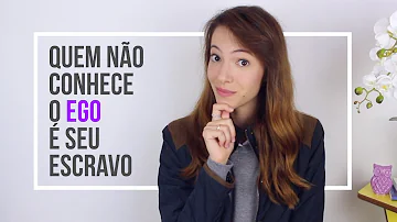 O que é ego exemplo?