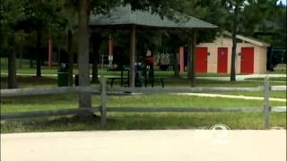 Deputies investigate multiple car burglaries