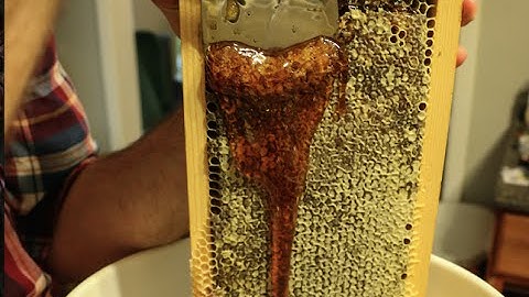 Crush & Strain clip - Honey Harvest