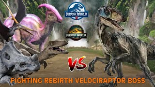 Fighting Rebirth Velociraptor Boss: Isle Of Trials Season 3 - Jurassic World Alive screenshot 1