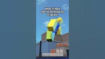 Hacker Fling #roblox #robloxanimation