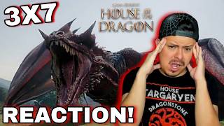 Book Reader Reacts to House of the Dragon 3 x 7 REACTION! - The Dragon in Winter