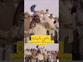 عزك وعز لاجواد ماعز الرخيص الشاعر ناجي بازرارة عزك وعز لاجواد ماعز الرخيص الشاعر ناجي بازرارة