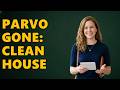 How Do I Clean My House After Parvo?