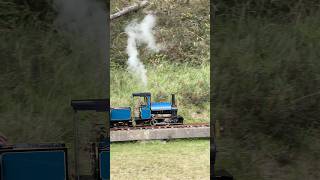 SADDLE TANK! Watching This Miniature Powerhouse In Action 🚂🦾 #ModelEngineering #miniaturerailway
