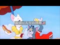 【洋楽】お気に入りの洋楽🇺🇸