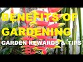 Benefits of gardening  garden rewards  gardening philippines