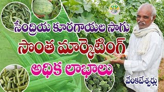 Organic Vegetable Farming || Venkateshwarlu || Contact - 7702710588 screenshot 3