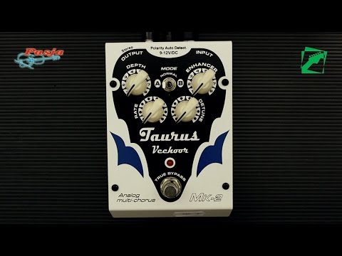 Taurus Vechoor MK-2 (Analog multi-chorus) - demo, reamping test