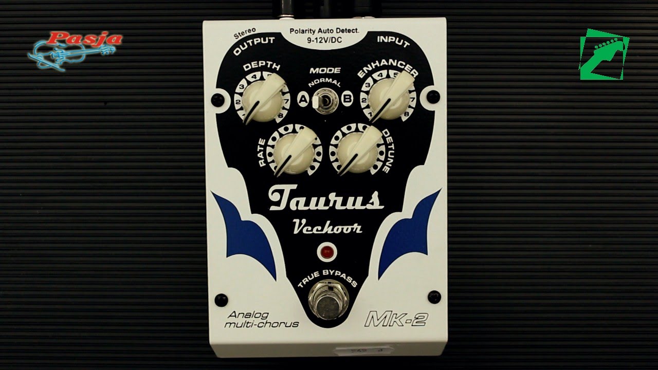 Taurus Vechoor MK-2 (Analog multi-chorus) - demo, reamping test