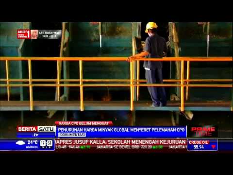 CPO Sulit Menguat dalam Jangka Panjang