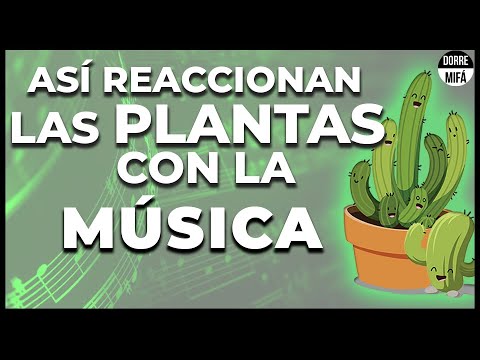 Video: La Influencia De La Música En Las Plantas