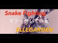 Snake Fighting/ELLEGARDEN【弾いた】ギター