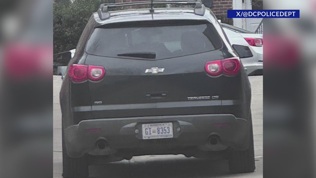 DC police searching for driver who hit, killed dog in Southeast - YouTube