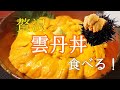 【ある日の晩御飯】ウニ丼【食べるだけ】Eatingsounds Mukbang  Sea Urchin Rice Bowl 海胆盖饭 성게 咀嚼音 ASMR
