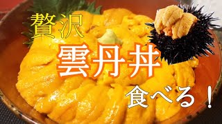 【ある日の晩御飯】ウニ丼【食べるだけ】Eatingsounds Mukbang  Sea Urchin Rice Bowl 海胆盖饭 성게 咀嚼音 ASMR