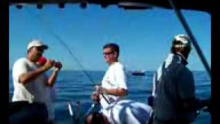 Lucky Strike fishing charters - Ashtabula, Ohio - hot perch bite!!!!