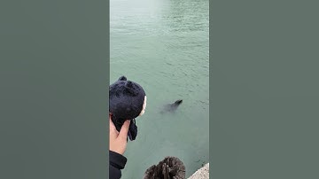 POV: Mona knows the best spots at GitHub Universe