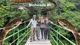 ¿Cómo es una gira de Biología en la Universidad Nacional | Herping & Birding Costa Rica