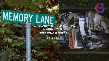 Understanding Memory Formation: The Science Behind Remembering