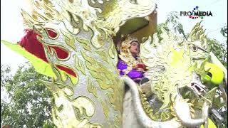 TANJUNG BARU - SINGA DANGDUT PUTRA GENADES LIVE JATIREJA
