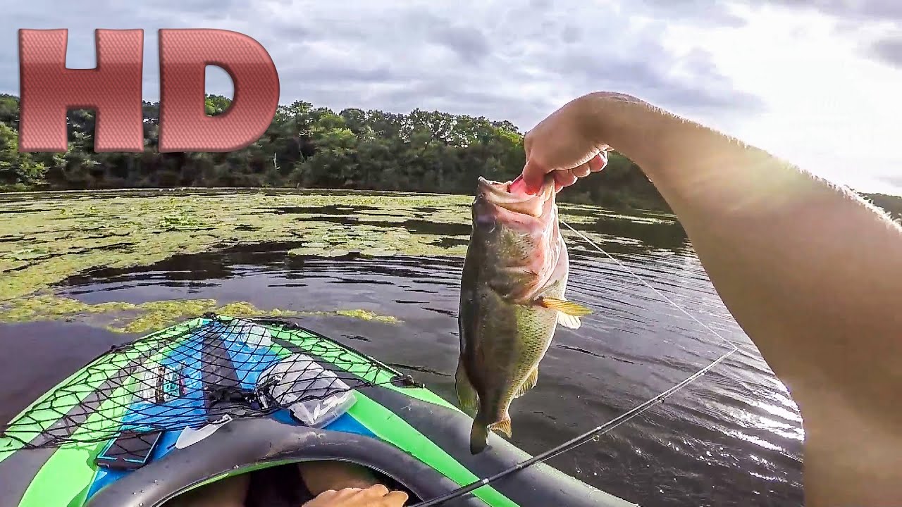Summer Largemouth Bass Fishing YouTube