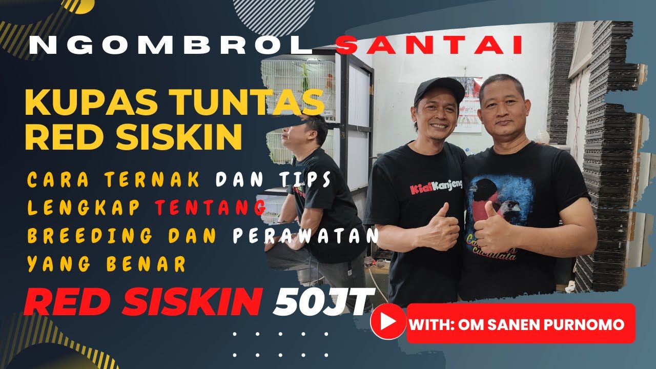 NGOBROL SANTAI SEPUTAR PERAWATAN & TERNAK RED SISKIN & TIPS & TRIK NYA - BERSAMA OM SANEN PURNOMO