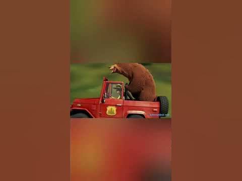 "Сезон Охоти" частина - 1 #мульт #дитинство #ведмідь #shorts #фільми # ...