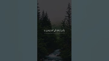 أَلَّا تَخَافُواْ وَلَا تَحۡزَنُواْ وَأَبۡشِرُواْ بِٱلۡجَنَّةِ | محمد صديق المنشاوي | سورة فصلت