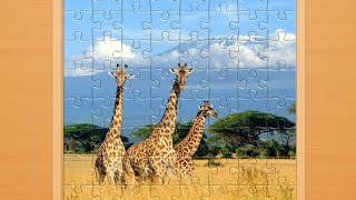 Puzzle Jigsaw Jerapa screenshot 2