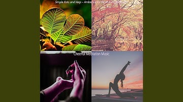 High-class Backdrops for Yoga Flow