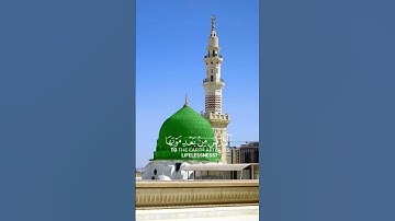 سورة العنكبوت {الآية 63} بصوت الشيخ ماهر المعيقلي ❤️💖