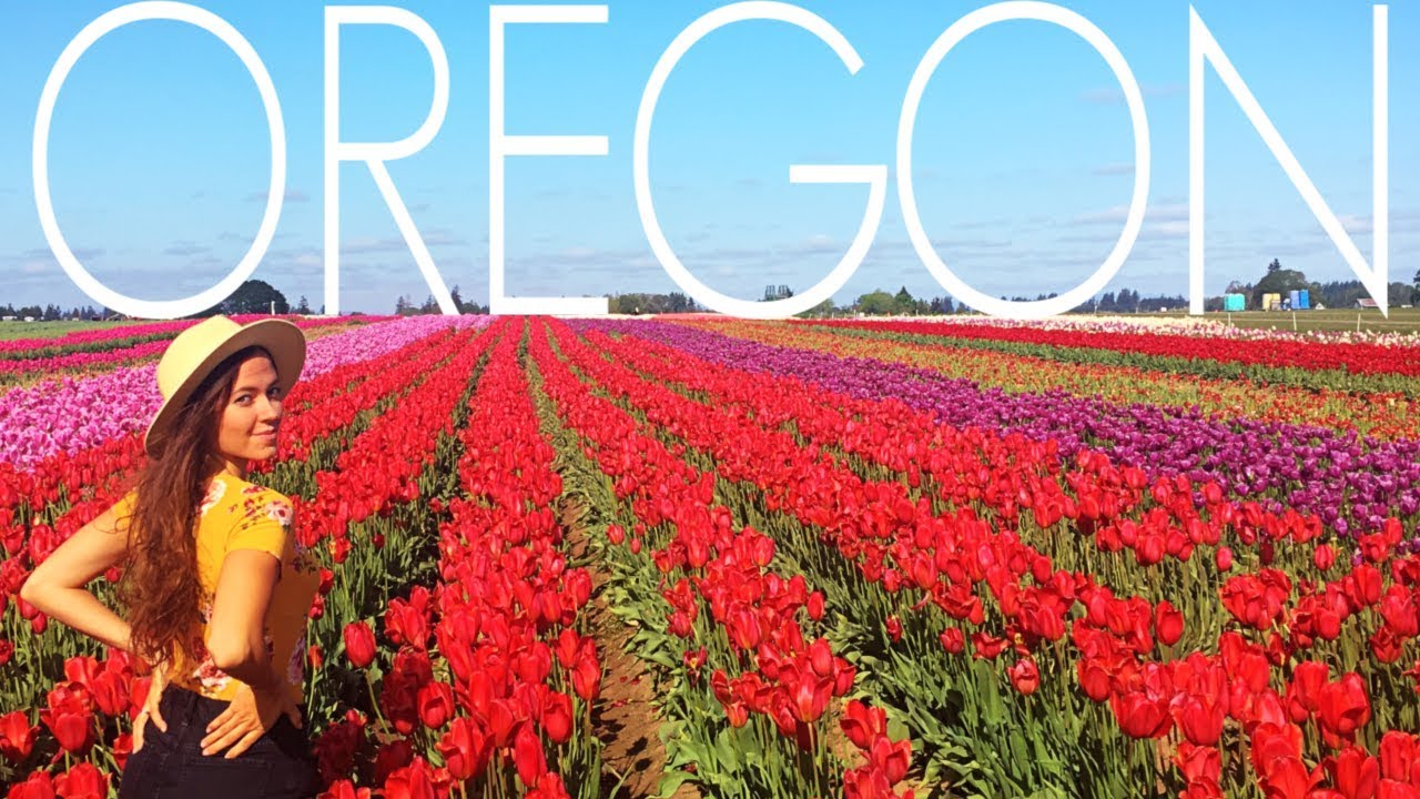 Breaking a 500 Law & a Broken Windshield! RV Living Oregon YouTube