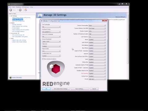 Witcher 2 mouse lag fix