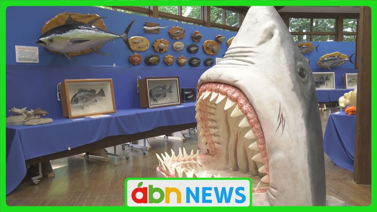 時の怪魚 Sharks! Deep-sea fish! 