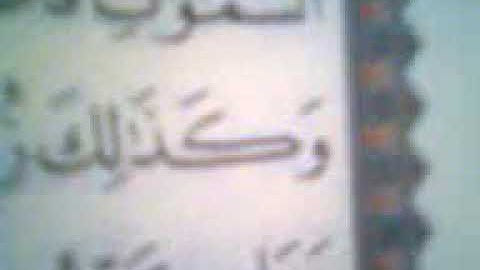 ما تيسر من سوره غافر وفصلت للشيخ ناصر عبد الحليم قناوي