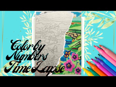 Creative Haven Country Scenes Color by Numbers Time Lapse | #1