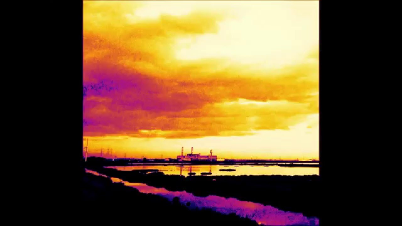 Fuzz Vegas - Libellule