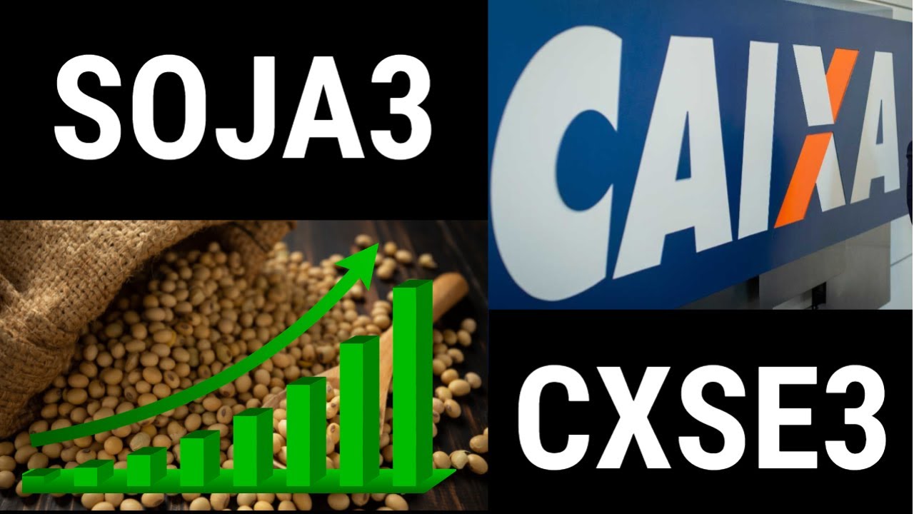 CAIXA SEGURIDADE CXSE3 E BOA SAFRA SOJA3 EM IPO COM PÉ DIREITO - AQUI NOTÍCIAS E COTAÇÃO CXSE3 SOJA3